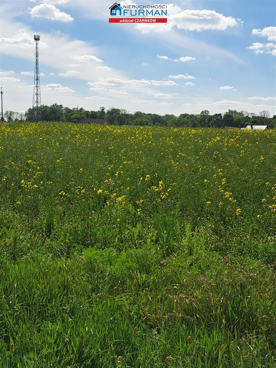 Działka budowlana na sprzedaż Lubasz  874m2 Foto 5