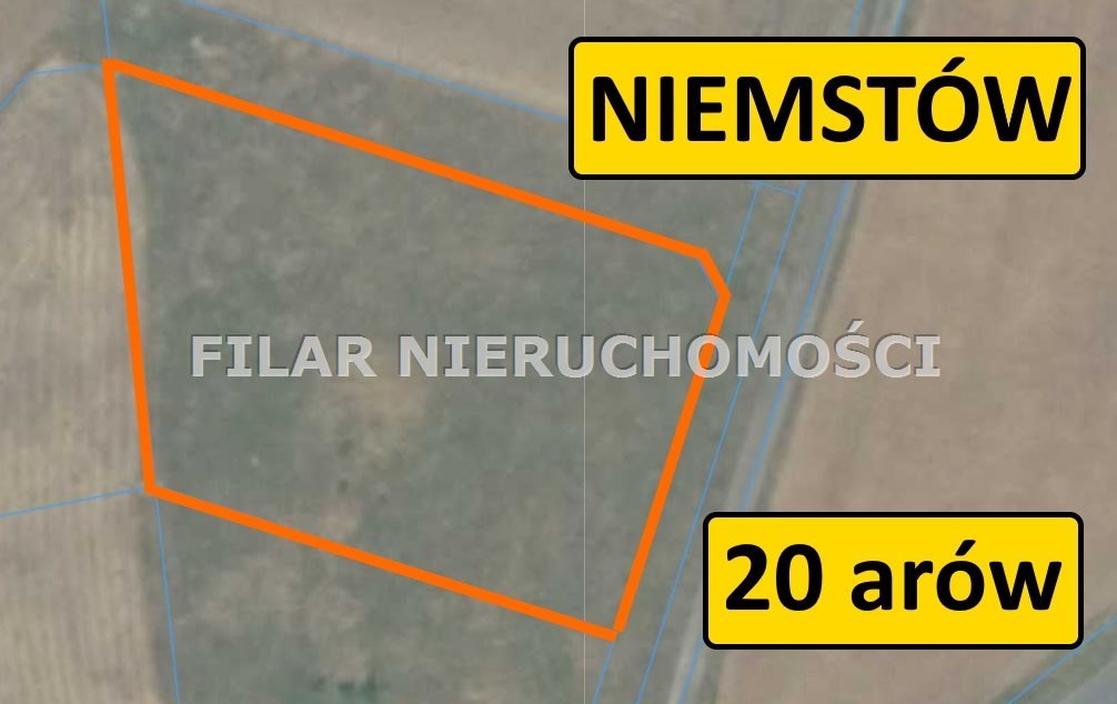 Działka budowlana na sprzedaż Niemstów  2 000m2 Foto 1