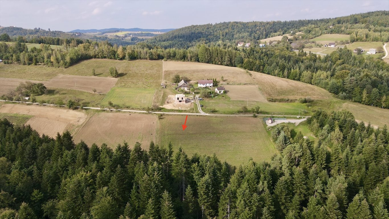 Działka budowlana na sprzedaż Bartkowa-Posadowa  1 836m2 Foto 2