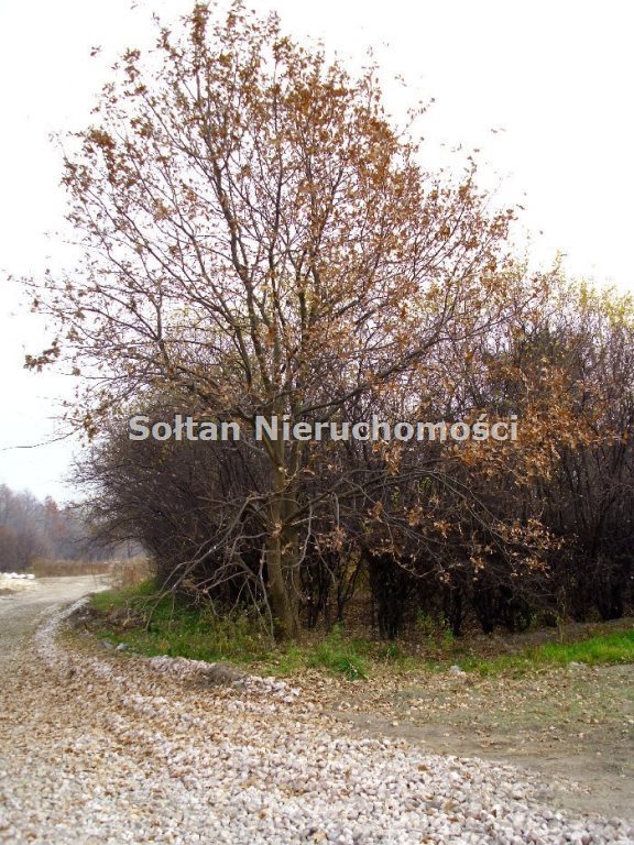 Działka inwestycyjna na sprzedaż Otwock Mały 12 200m2 Foto 1 Działka inwestycyjna na sprzedaż Otwock Mały 12 200m2 Foto 1