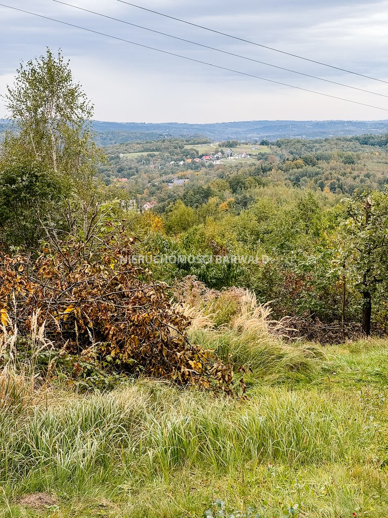 Działka siedliskowa na sprzedaż Lanckorona  7 821m2 Foto 5