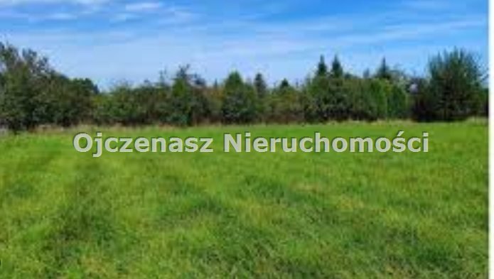 Sprzedam działkę 2228 m² z lasem, media, asfalt w Chełmnie Chełmno, Podwiesk  2 228m2 Foto 1