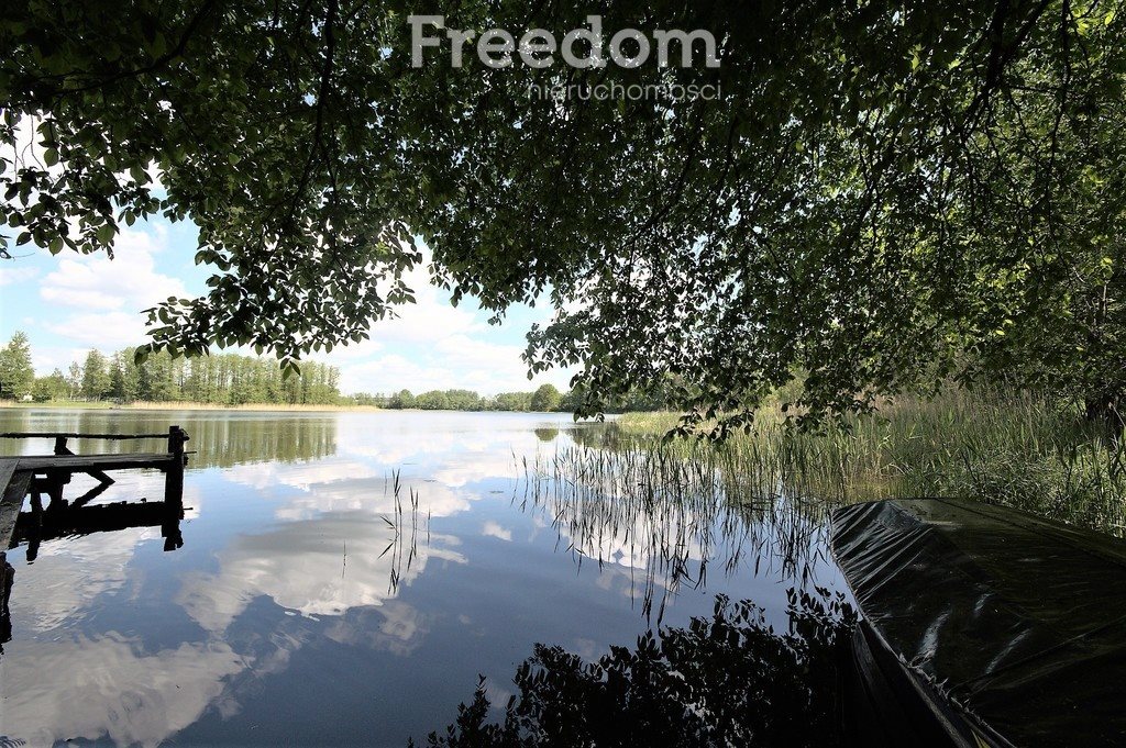 Działka 44 066 m² z linią jeziora i lasem. Mrozy Wielkie  44 066m2 Foto 1