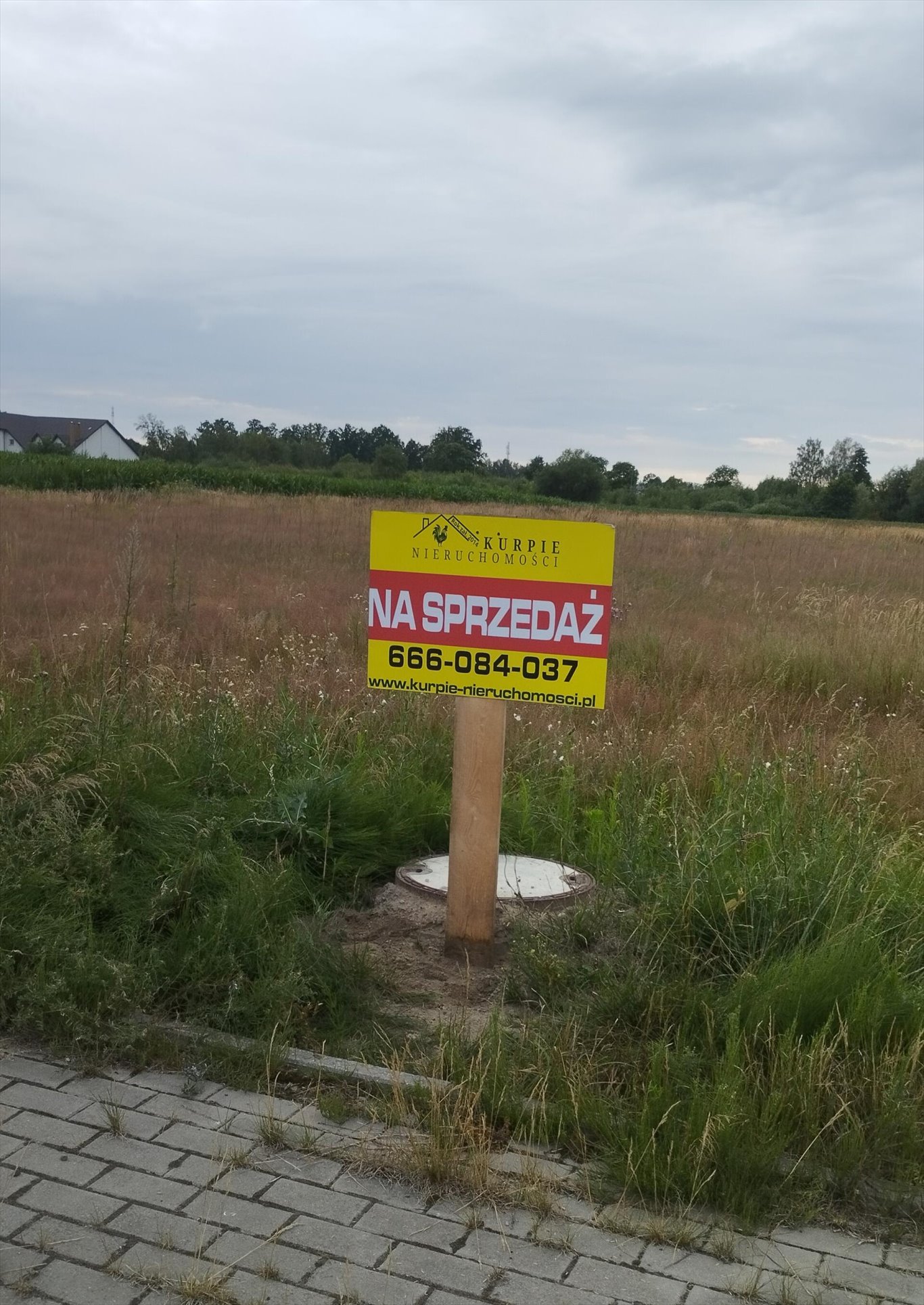 Działka inwestycyjna na sprzedaż Sierakowo  10 803m2 Foto 6