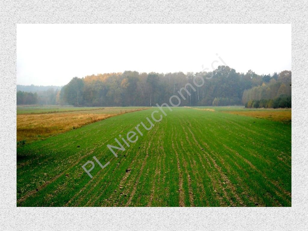 Działka rolna na sprzedaż Nowe Zalesie  3 960m2 Foto 5