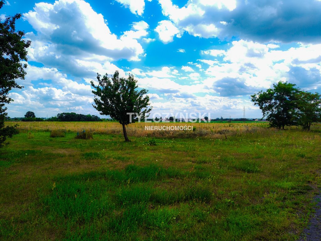 Działka rolna na sprzedaż Chlebnia  37 700m2 Foto 2