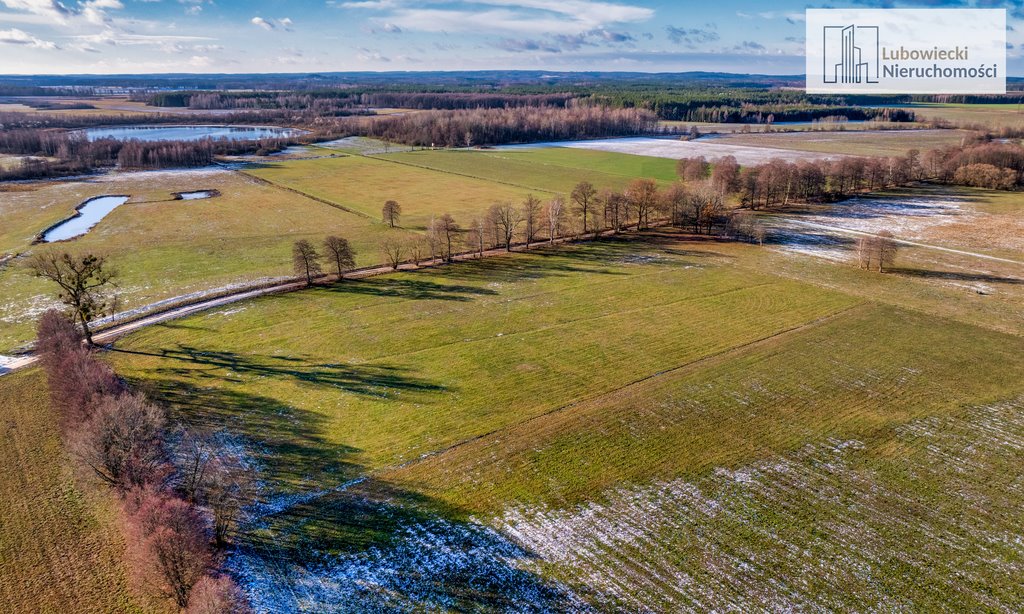 Działka budowlana na sprzedaż Wyżegi  1 794m2 Foto 4