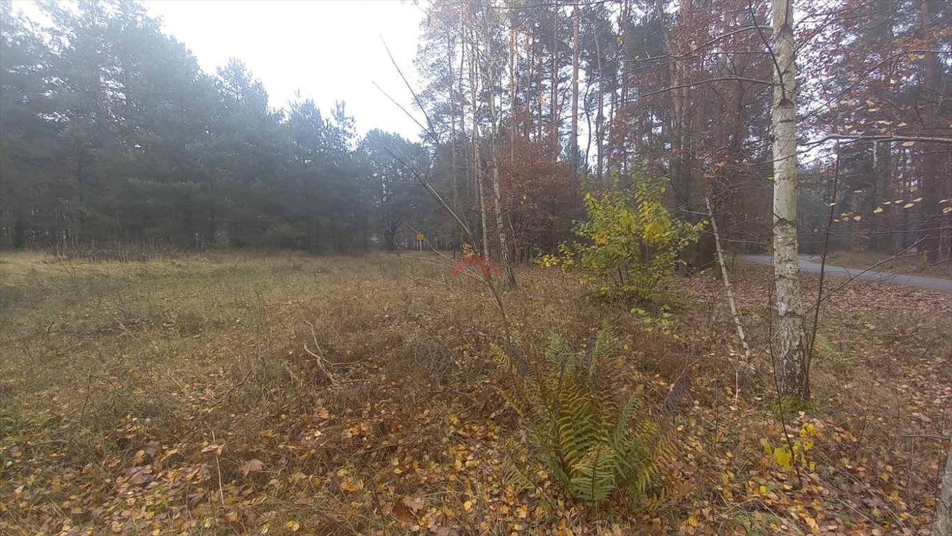 Działka budowlana na sprzedaż Brodnica, Kominy  1 939m2 Foto 3