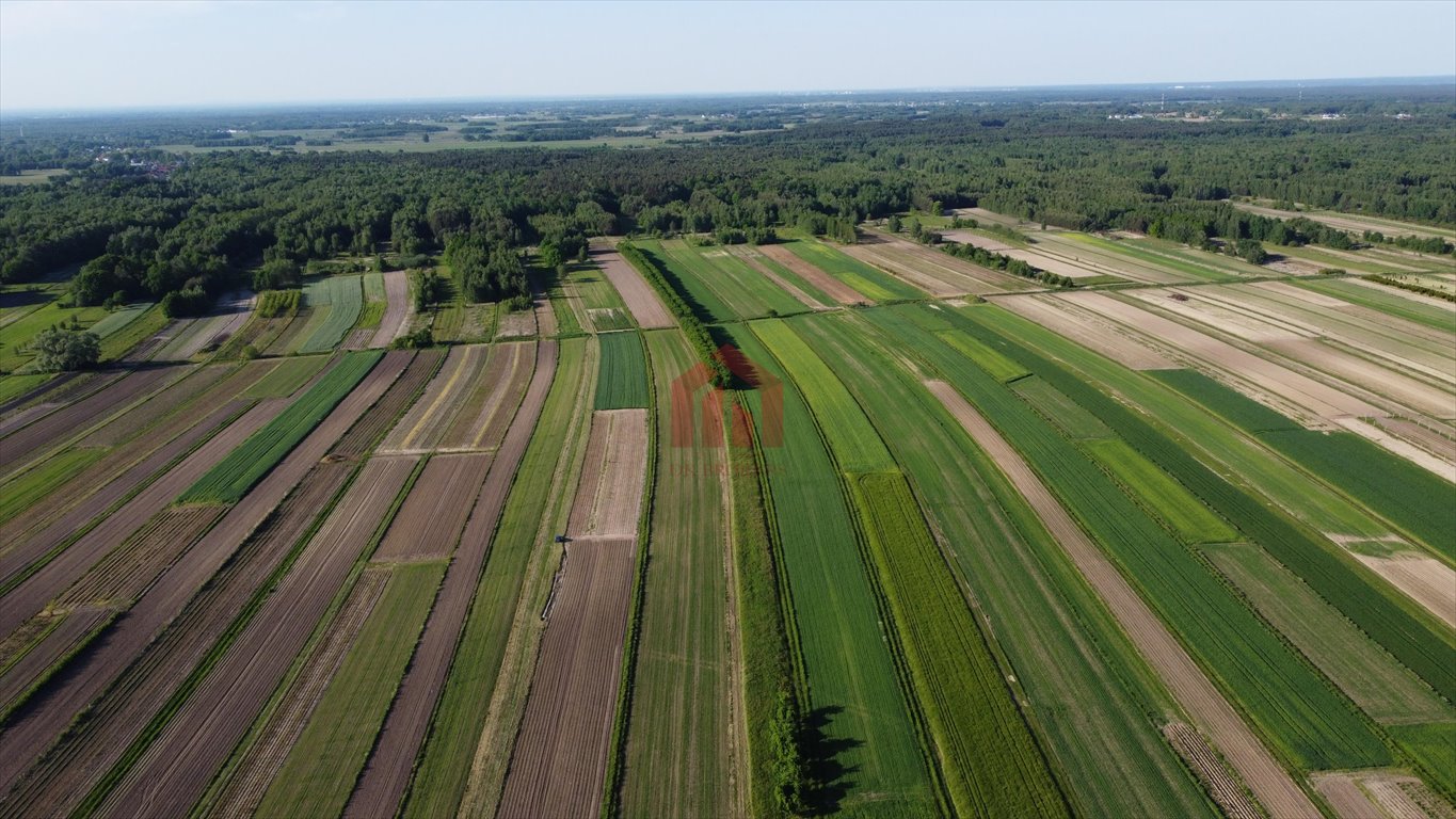 Działka leśna na sprzedaż Zasów  22 800m2 Foto 2