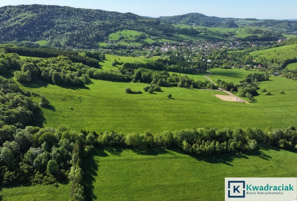 Działka inwestycyjna na sprzedaż Stężnica  7 000m2 Foto 6