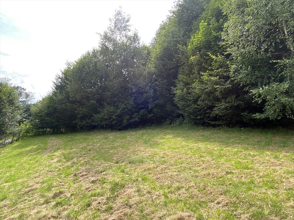 Zdjęcie 6