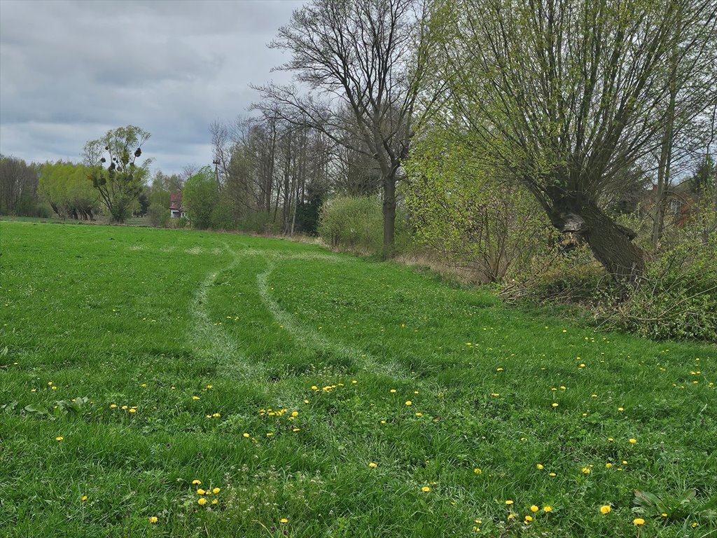Zapraszam do obejrzenia działki 3000 m² z mediami w Gawartowej Woli Nowe Gnatowice  3 000m2 Foto 1