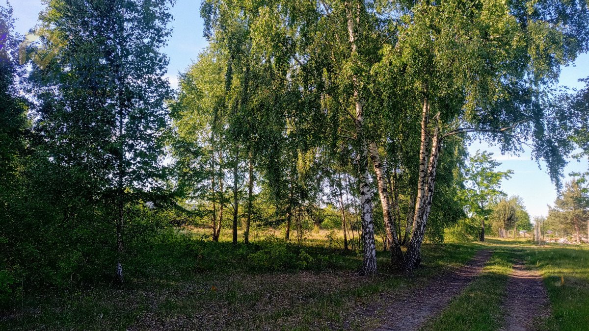 Działka budowlana na sprzedaż Adamowa Góra  1 100m2 Foto 2