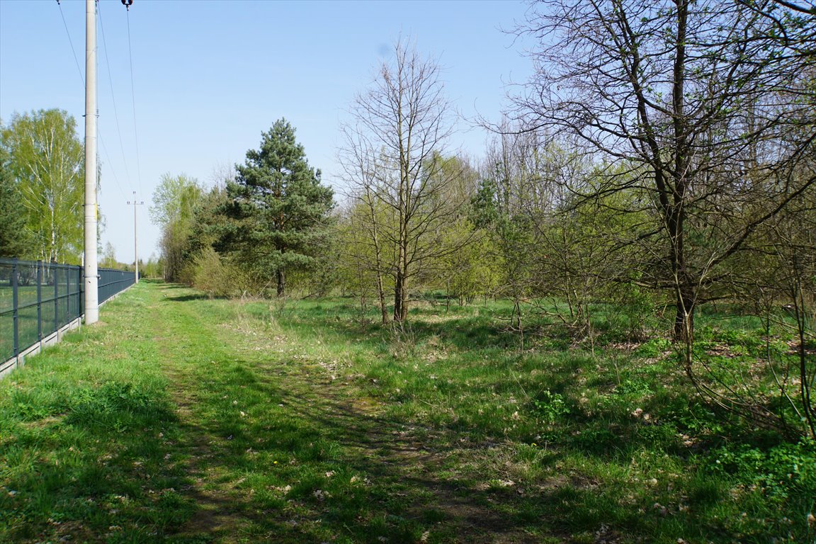 Działka budowlana na sprzedaż Sulejówek, Ratajewo, Trakt Brzeski  738m2 Foto 4