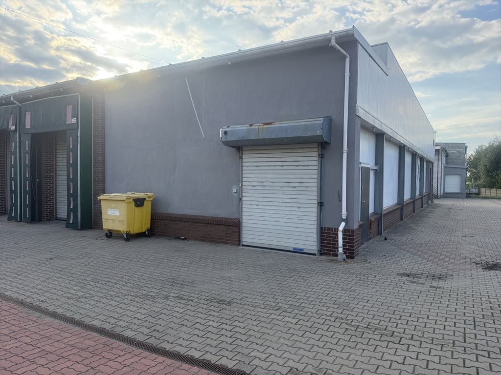 Lokal użytkowy na wynajem Pabianice, Pabianice, Karniszewicka  110m2 Foto 1