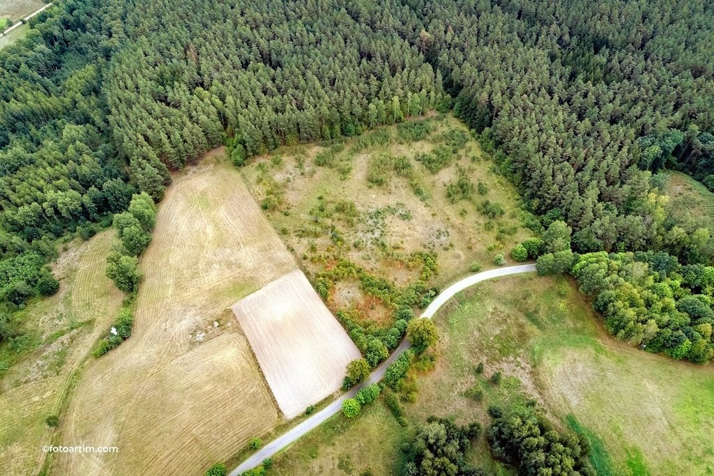 Działka rolna na sprzedaż Elganowo  23 300m2 Foto 4