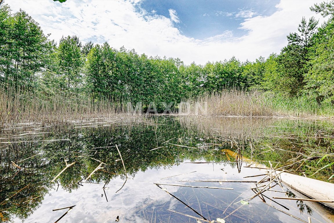 Dom na sprzedaż Sierzchów  700m2 Foto 46