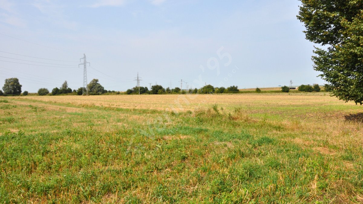 Działka rolna na sprzedaż Zamysłowo  19 027m2 Foto 3