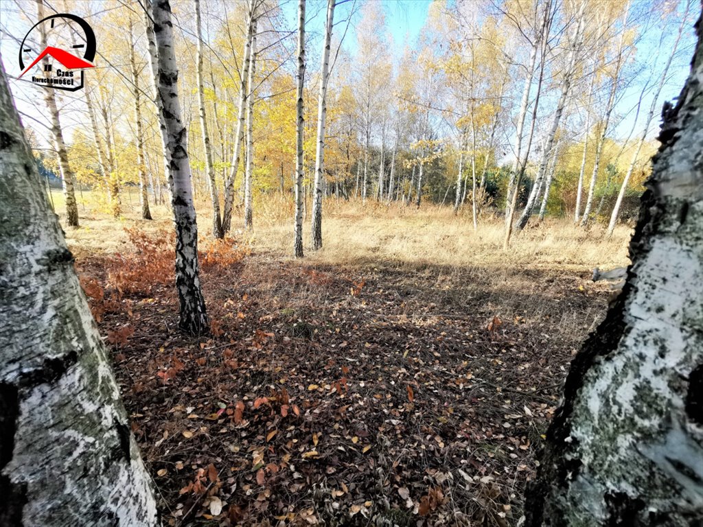 Działka gospodarstwo rolne na sprzedaż Orle  3 700m2 Foto 6