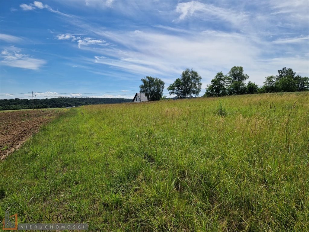 Działka budowlana na sprzedaż Michałowice  1 750m2 Foto 1