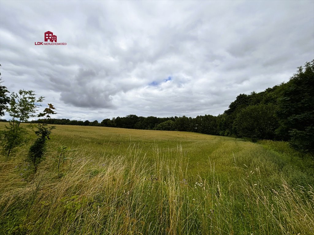 Działka siedliskowa na sprzedaż Mierzeszyn, Gdańska  16 681m2 Foto 10