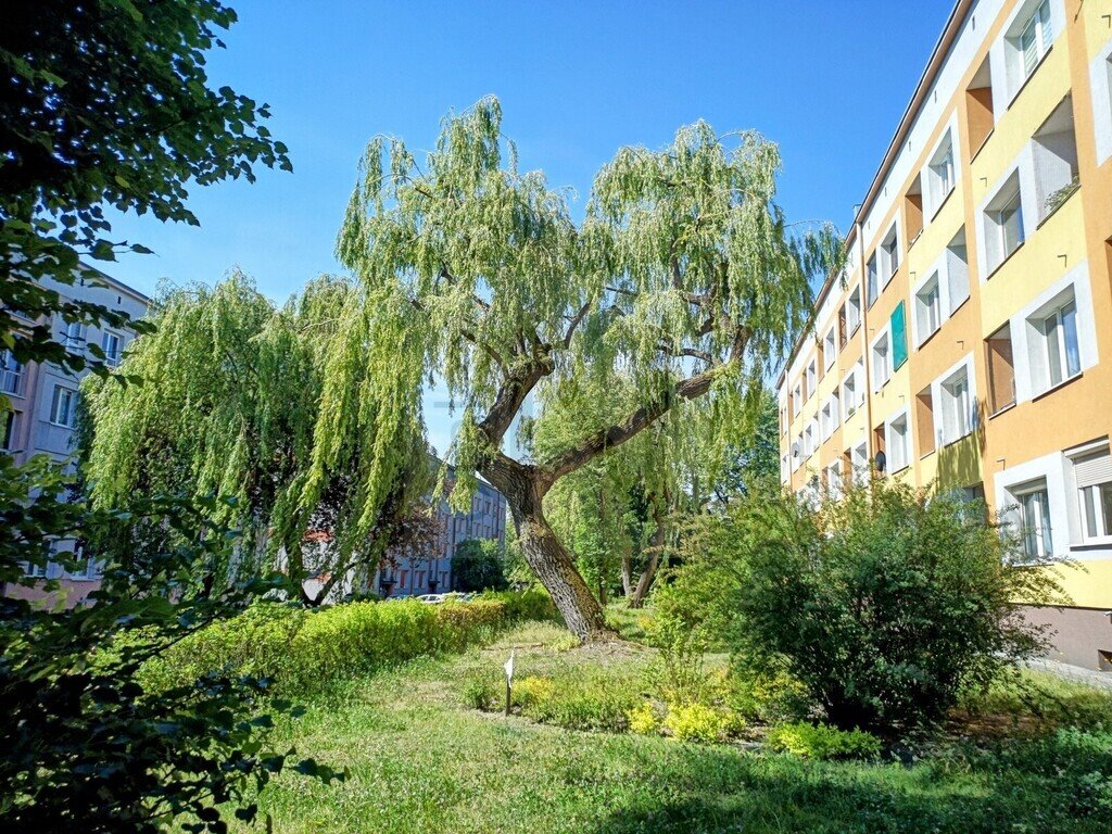 Mieszkanie dwupokojowe na sprzedaż Częstochowa, Tysiąclecie  51m2 Foto 1