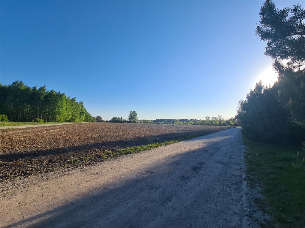 Działka budowlana na sprzedaż Sochaczew, Wypalenisko, Przylasek  3 820m2 Foto 8