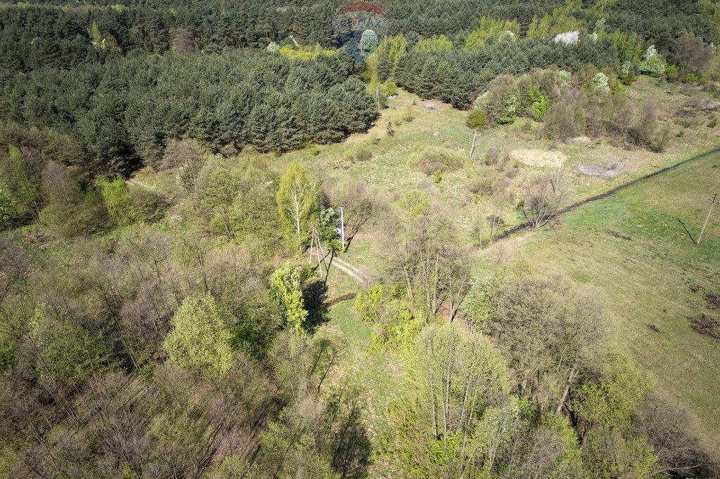 Działka leśna z prawem budowy na sprzedaż Skrzeszew, Olszankowa  23 411m2 Foto 12
