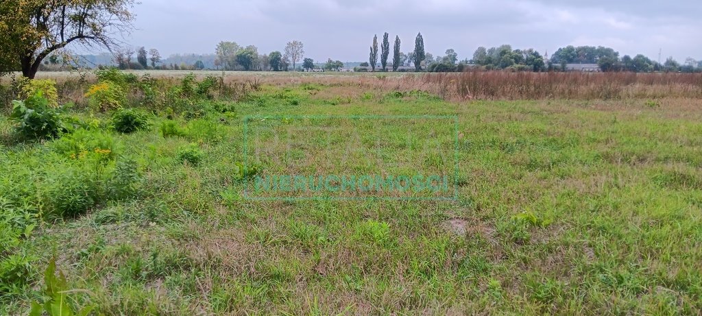 Działka budowlana na sprzedaż Kosów  1 036m2 Foto 9