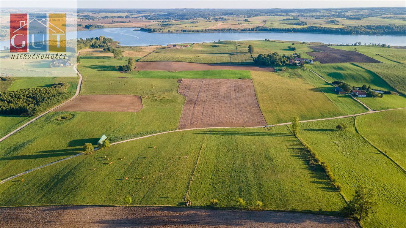 Działka rolna na sprzedaż Blanki  41 400m2 Foto 10