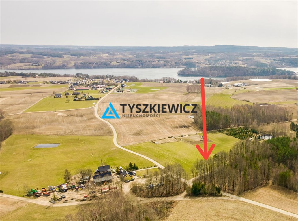 Działka 5387 m² w sercu Kaszub z lasem i nasłonecznieniem Borzestowska Huta  5 387m2 Foto 1