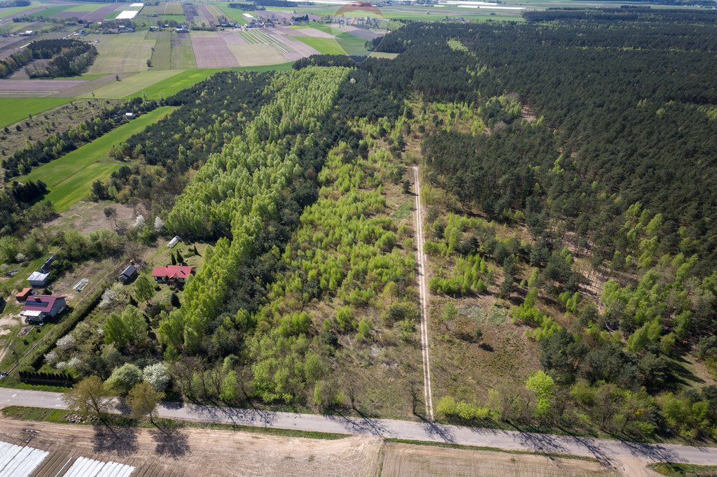 Działka budowlana na sprzedaż Ludwikowo  75 400m2 Foto 3