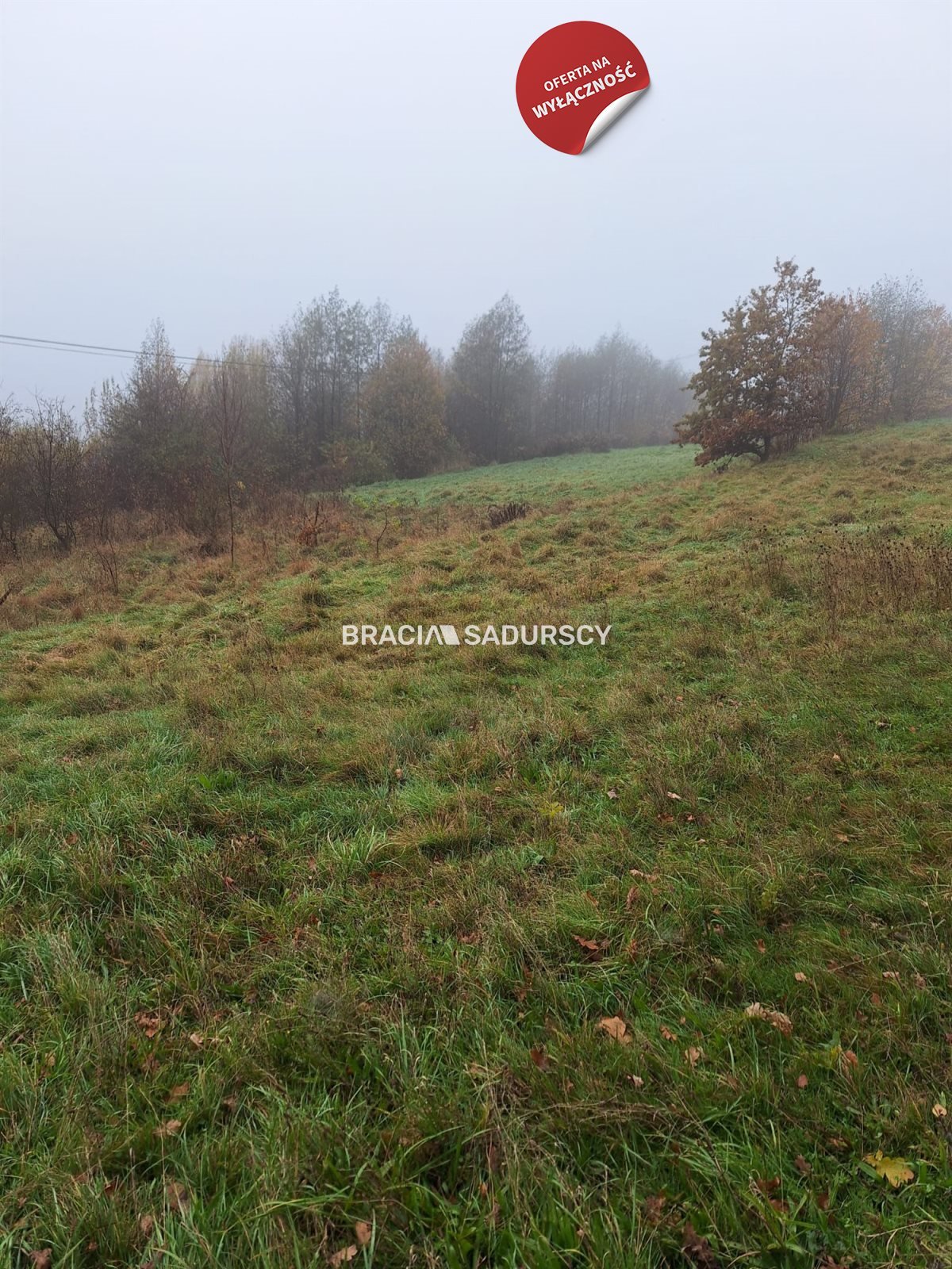 Działka budowlana na sprzedaż Podstolice  3 600m2 Foto 14