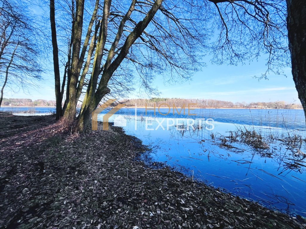 Zdjęcie 8