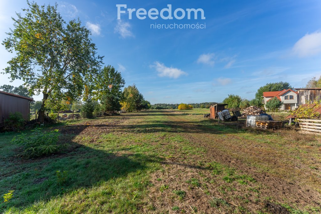 Działka budowlana na sprzedaż Borki, Błękitna  28 300m2 Foto 4