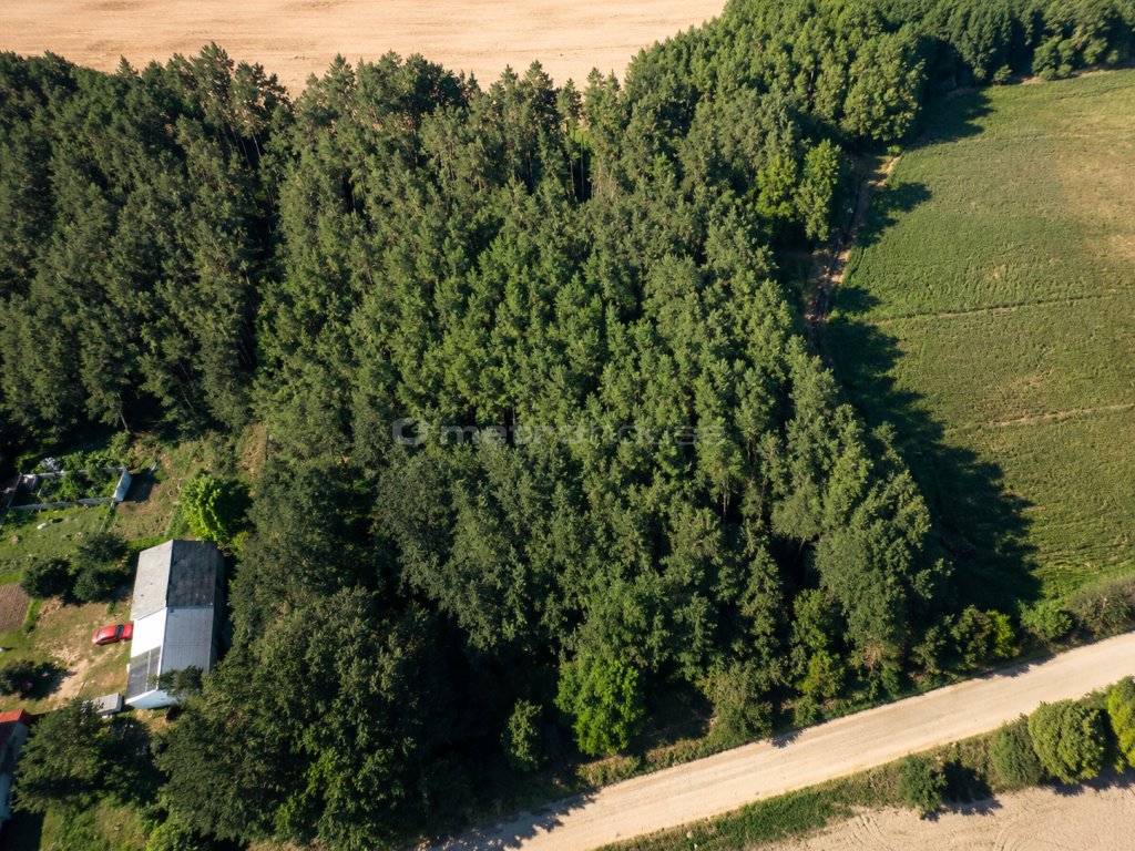 Działka leśna 5600 m² w Rogaczach – własny las i spokój Rogacze  5 600m2 Foto 1