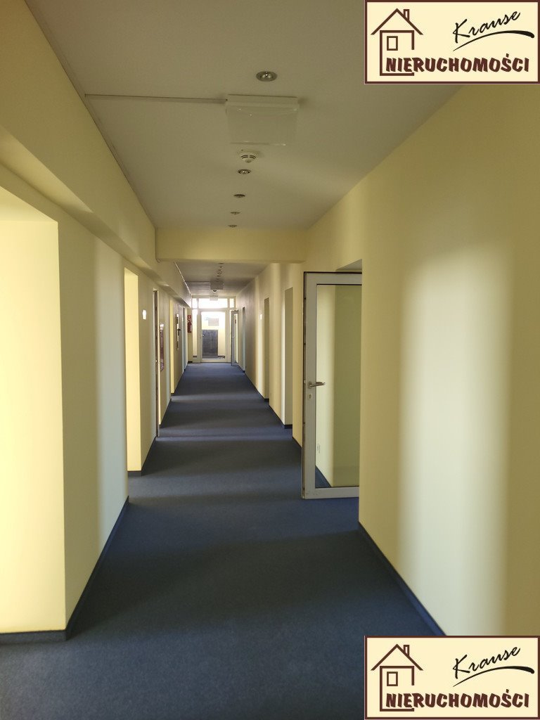 Lokal użytkowy na wynajem Poznań, Grunwald  370m2 Foto 1