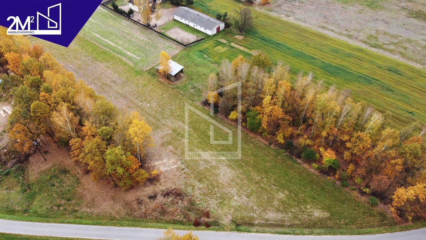 Działka budowlana na sprzedaż Ruda  13 000m2 Foto 5