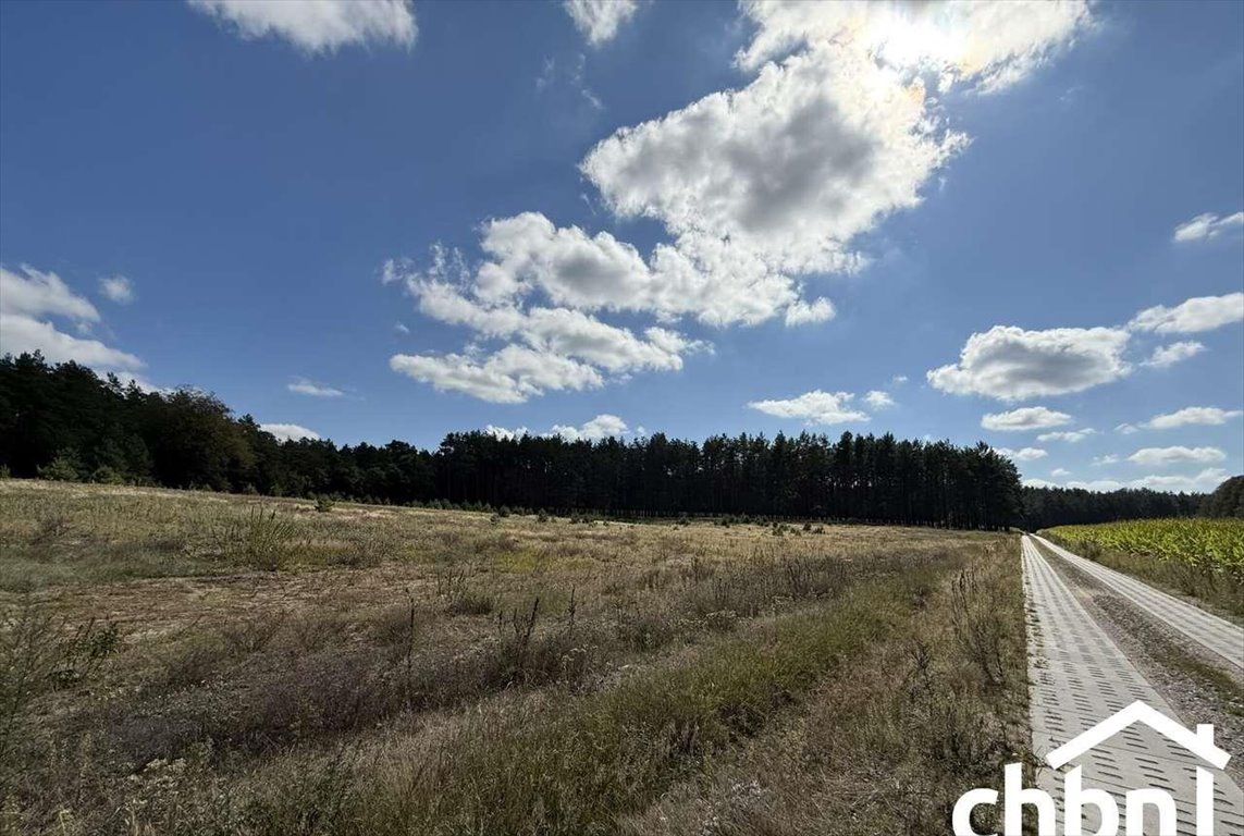 Działka budowlana na sprzedaż Zielona Chocina  3 173m2 Foto 1