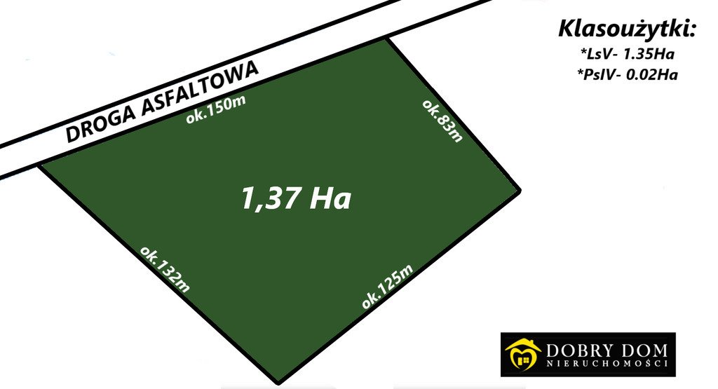 Działka leśna 13,7 ha z dojazdem asfaltowym w Peńskie Peńskie  13 707m2 Foto 1