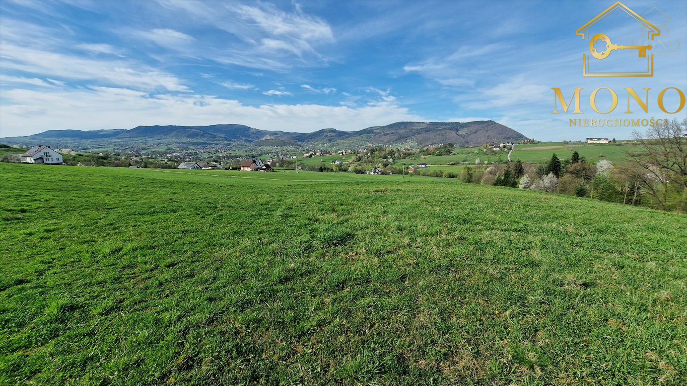 Działka rolna na sprzedaż Krasne Potockie  8 200m2 Foto 12