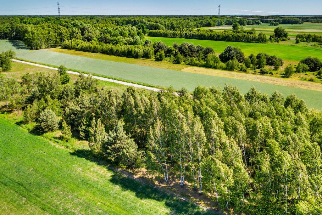 Działka budowlana na sprzedaż Majdan  3 000m2 Foto 6