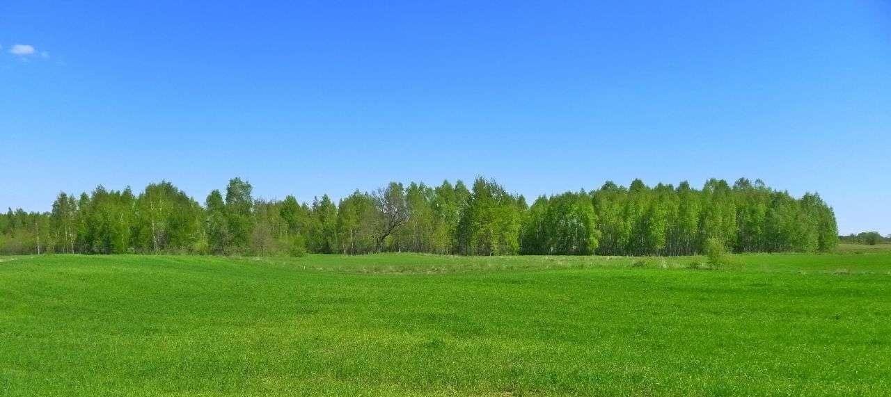 Działka rolna na sprzedaż Krasnopol  3 000m2 Foto 9