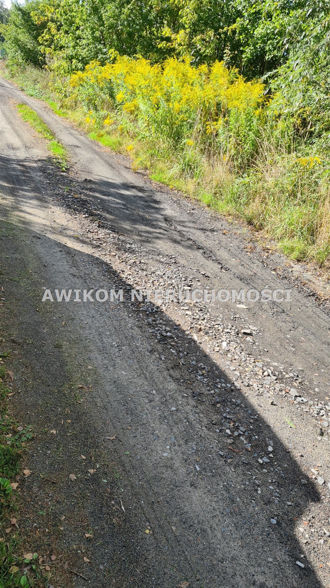 Działka budowlana na sprzedaż Grodzisk Mazowiecki, Janinów  2 199m2 Foto 2