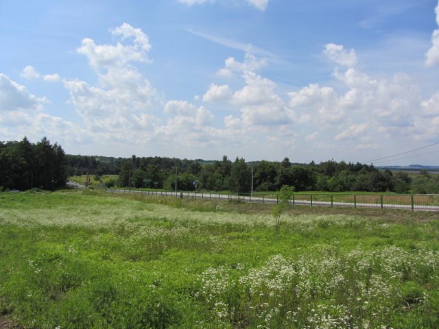 Działka budowlana na sprzedaż Myszkowice, Leśna  807m2 Foto 6