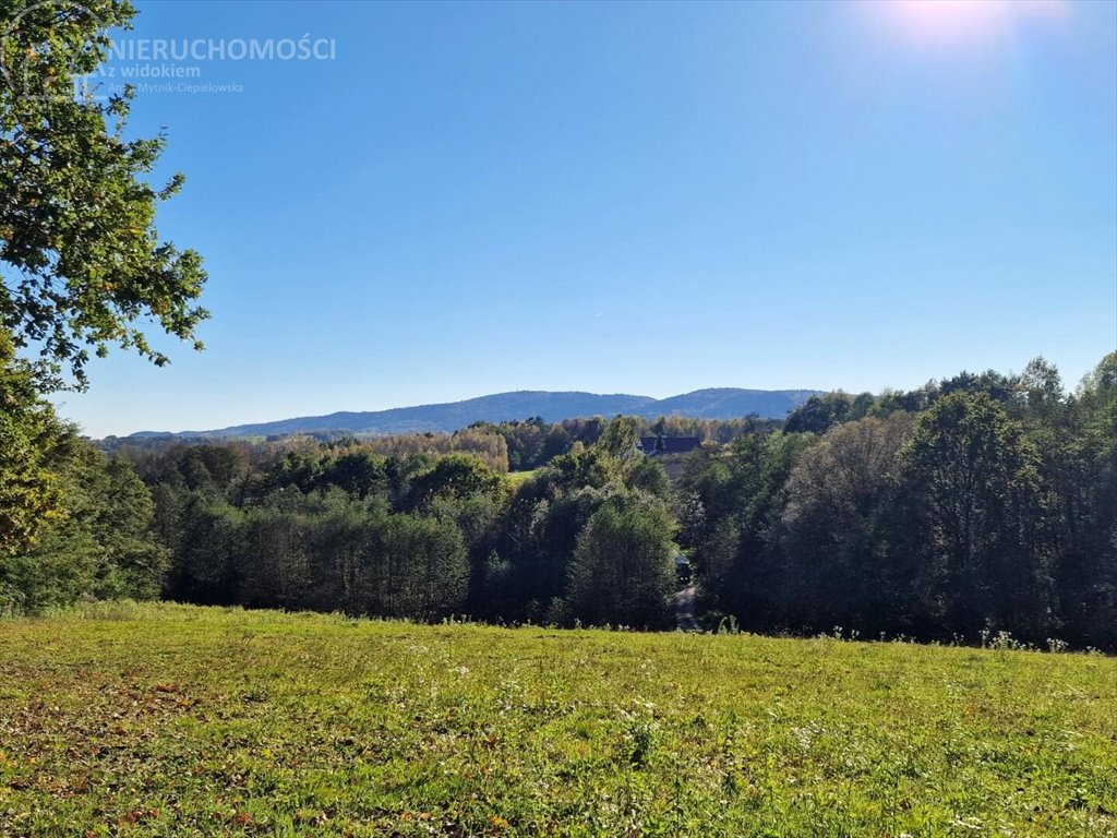 Działka budowlana na sprzedaż Błażkowa  2 559m2 Foto 7