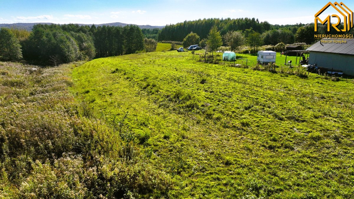 Działka inna na sprzedaż Łęki Górne  7 000m2 Foto 3