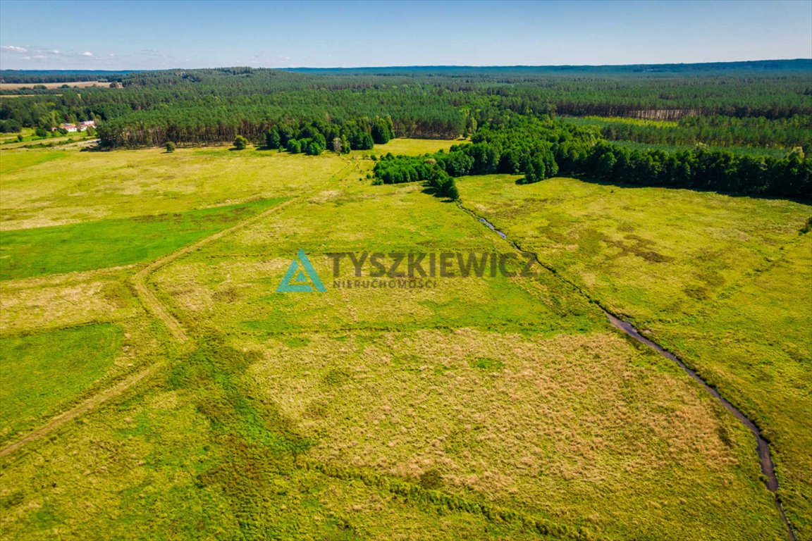 Działka rolna na sprzedaż Poborowo  9 200m2 Foto 9