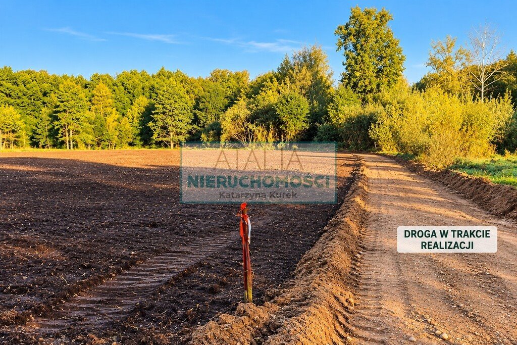 Działka 11 300 m2 w Kozerkach - zielona i spokojna okolica Kozerki  11 300m2 Foto 1