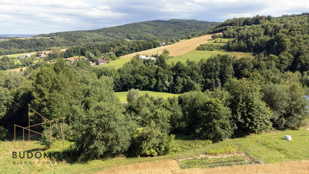 Działka rolna na sprzedaż Dębowa  7 200m2 Foto 5